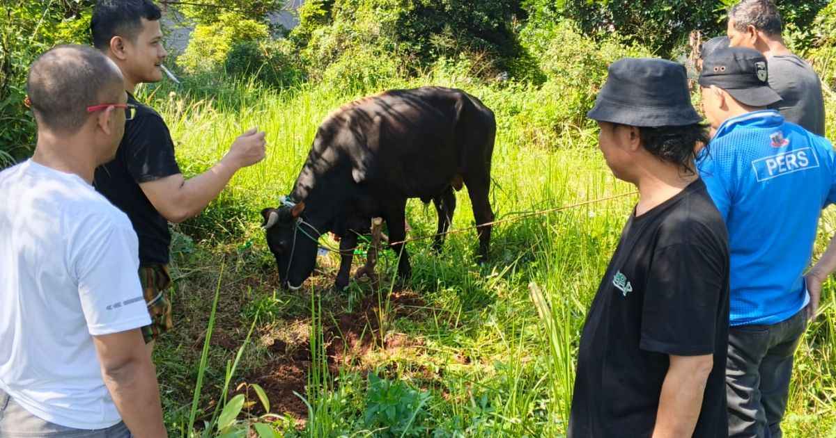 Sinergi Pemkab Bogor dan Insan Pers Menguat di Momen Idul Adha 1447 H